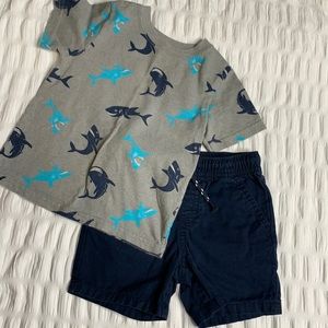 Tee shirt and shorts set